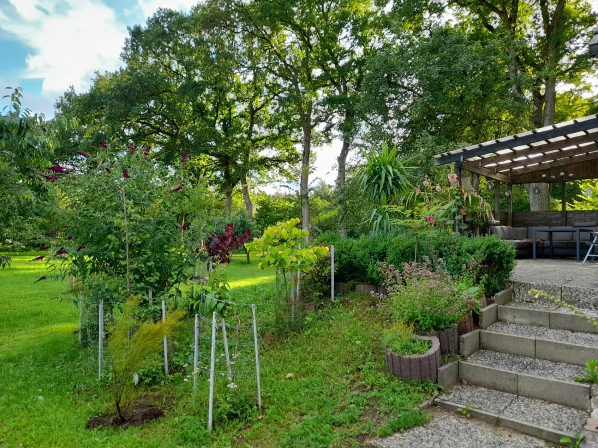 Haus Wald Und Wiese Wohnung Wald Ehndorf Eksteriør bilde